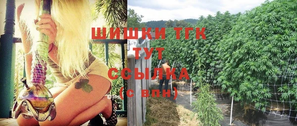 спайс Богородицк