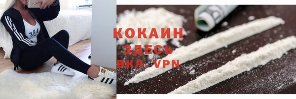 спайс Богородицк