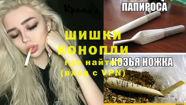 PSILOCYBIN Богданович