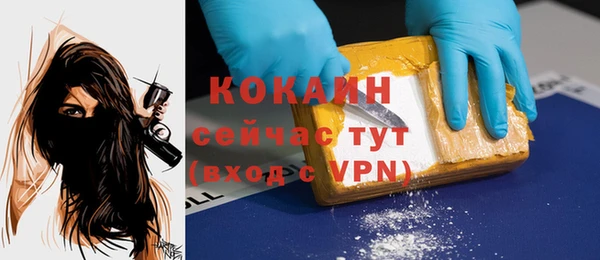 СК Строитель