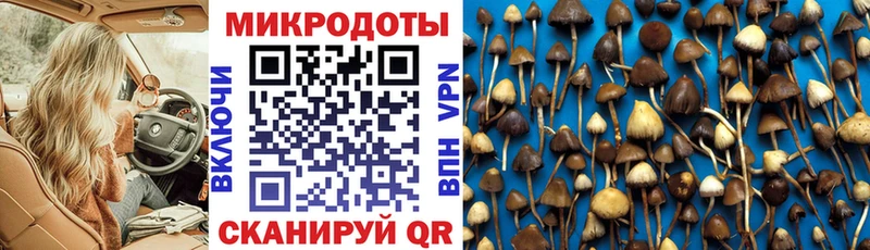 Псилоцибиновые грибы мухоморы  Дмитров 